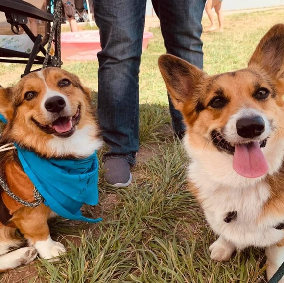 Meet your Posher, Jean - Picture 3 of 3